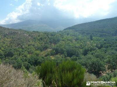 Valle del Alto Alberche;rutas para senderismo lugares para hacer senderismo madrid escapadas